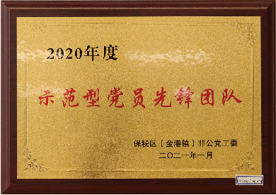 示范型黨員先鋒團(tuán)隊(duì)