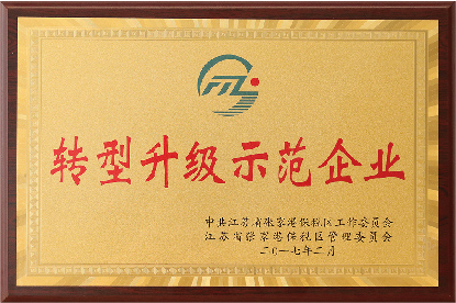 轉(zhuǎn)型升級(jí)示范企業(yè)